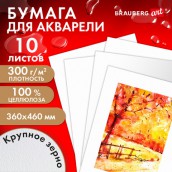 Бумага для акварели 300 г/м2 360x460 мм крупное зерно, 10 листов, BRAUBERG ART PREMIERE, 113229